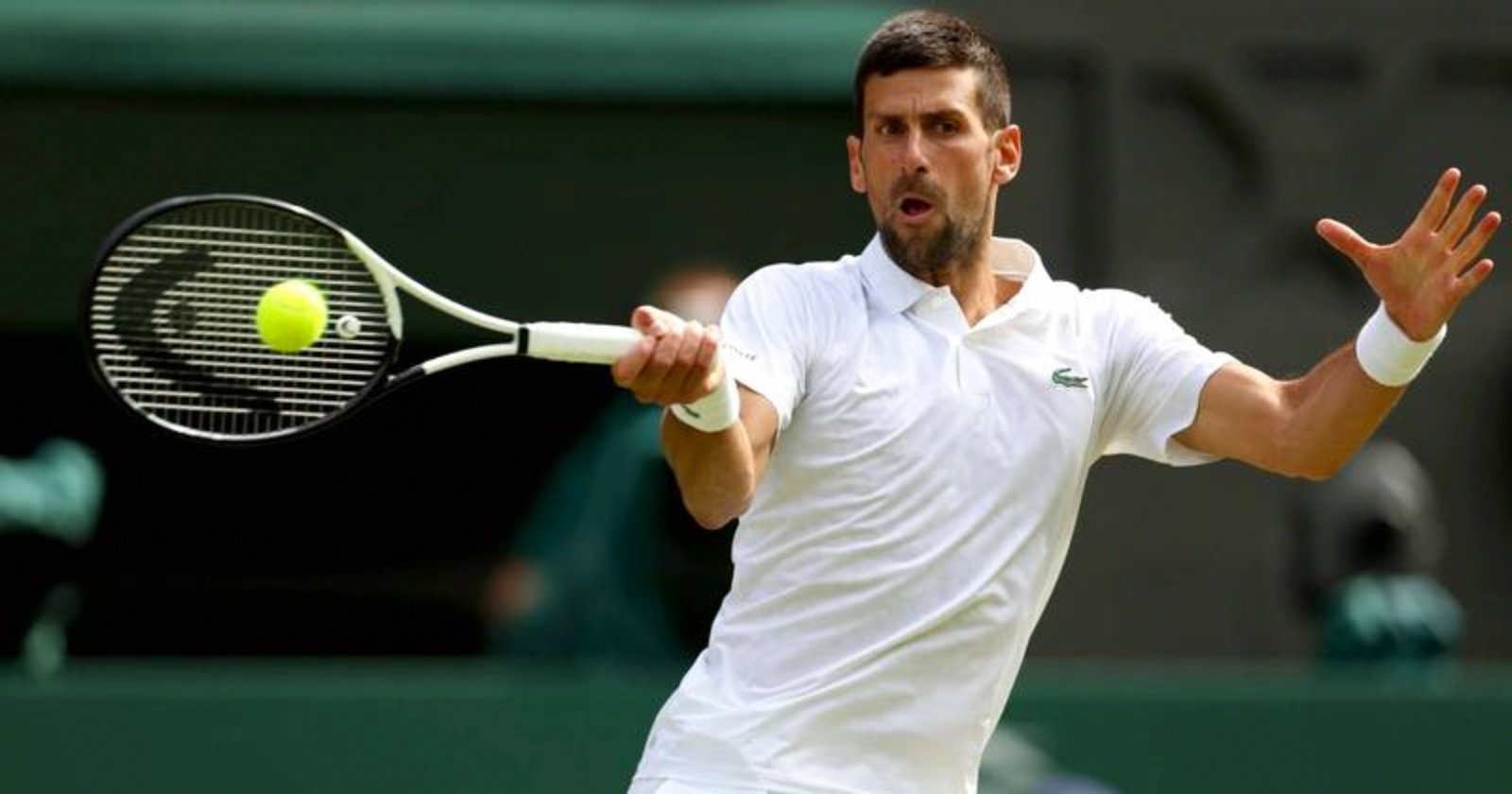 开云体育在线-法网轻取ATP总决赛，德约科维奇扛起全队