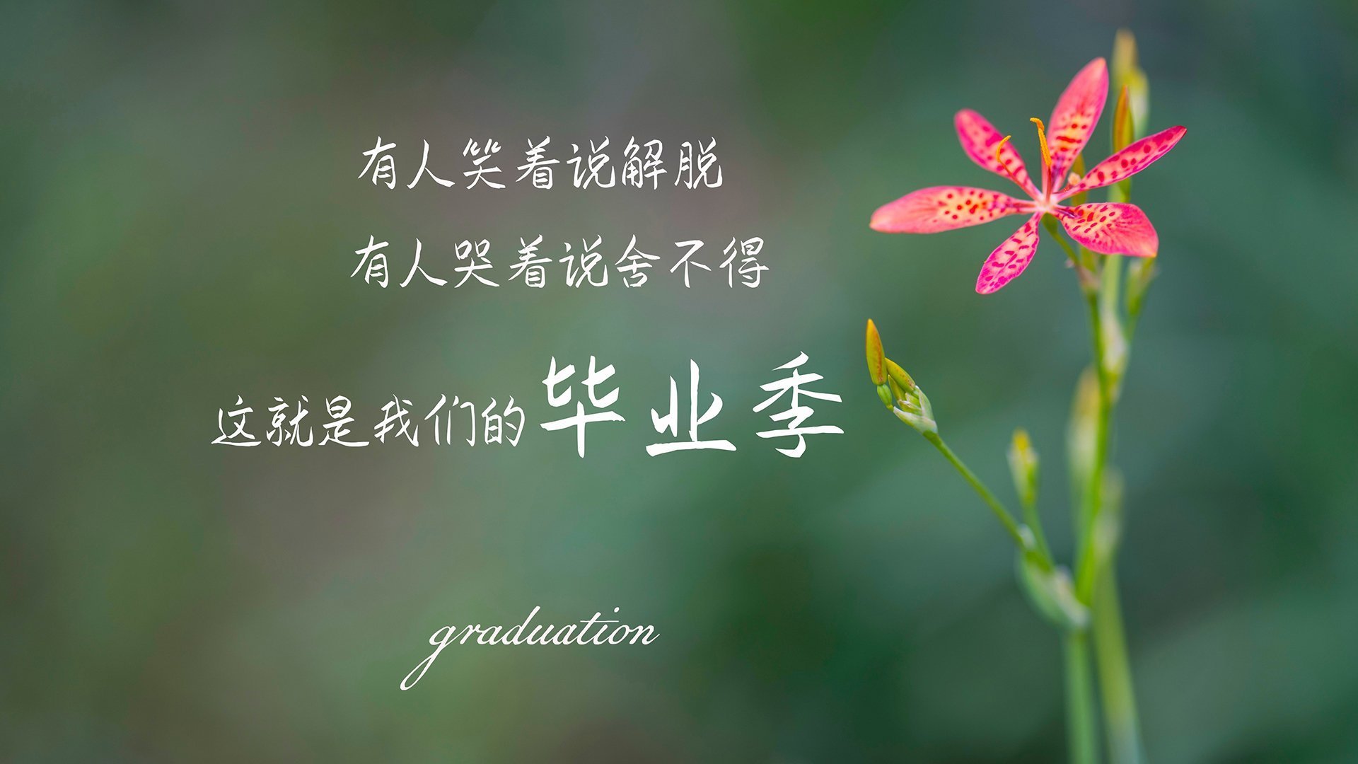 篮球与铁骑的史诗对决，西决生死战中的文化回响