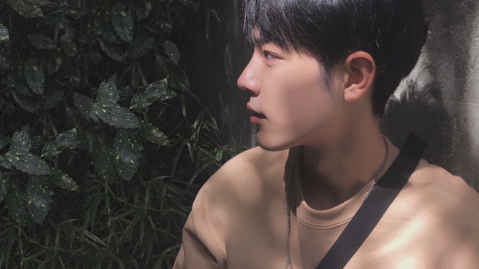 稳如老狗背后的冰与火，厄瓜多尔异军突起，卡拉斯科如何以沉默主宰狂潮？