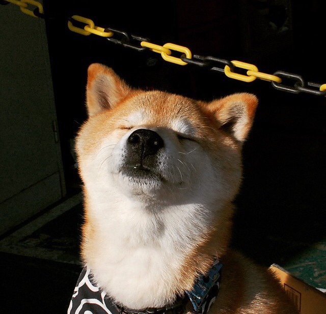 沙特对阵墨西哥,奥纳纳用实力为整个国家正名