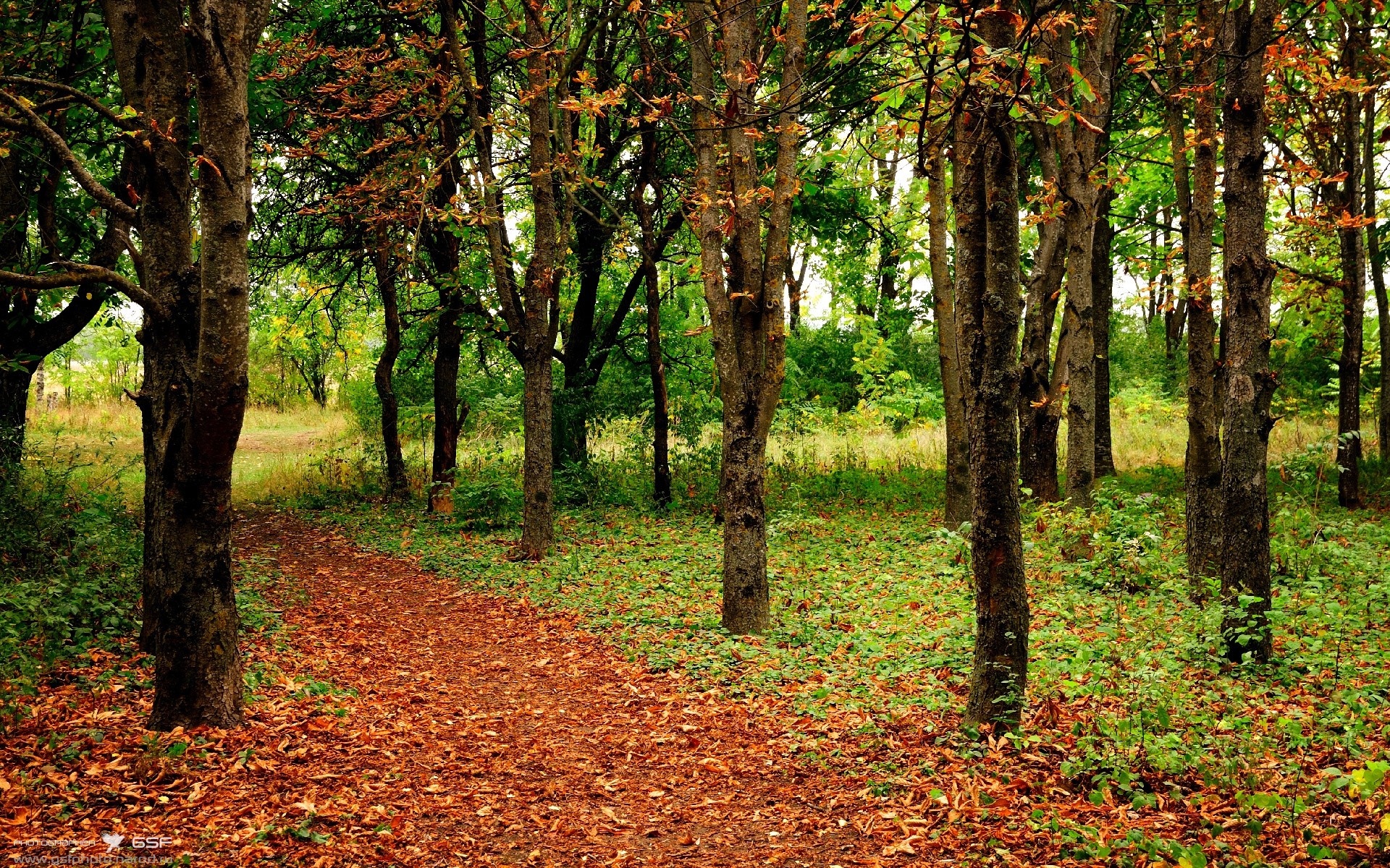 抢七48分钟战场，莫兰特，那个将唯一性刻入基因的破壁者