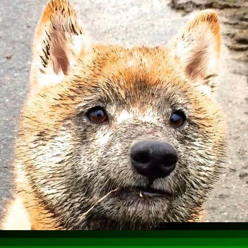 莫兰特教科书级表现闪耀联盟，76人主场轻取马刺展现实力