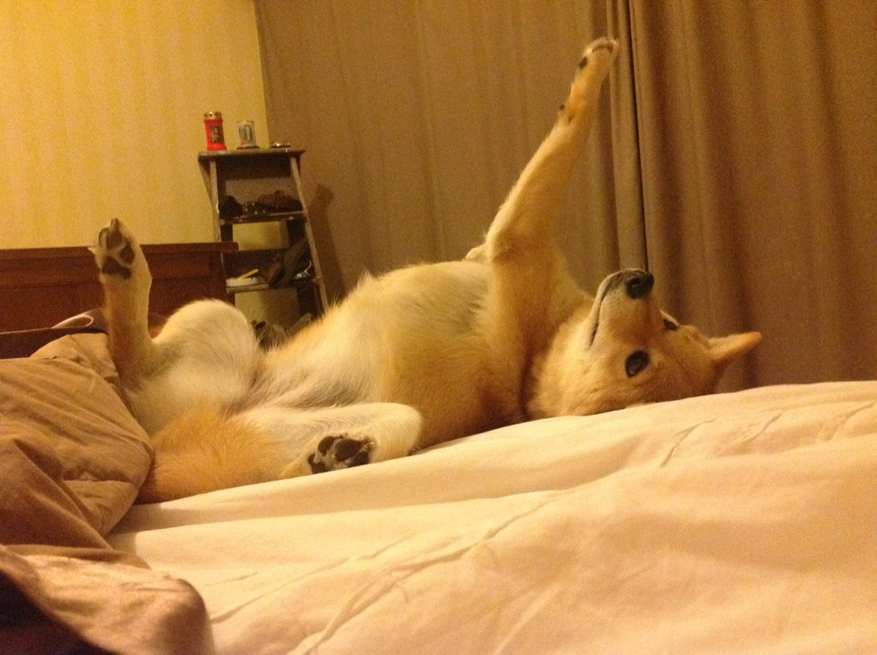 淬火之夜,当麦迪逊的坚韧遇见伊斯坦布尔的星辰