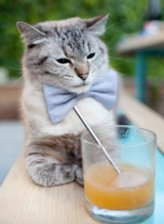 雷霆踏平上海队，利拉德扛起全队，一己之力如何点燃全城？