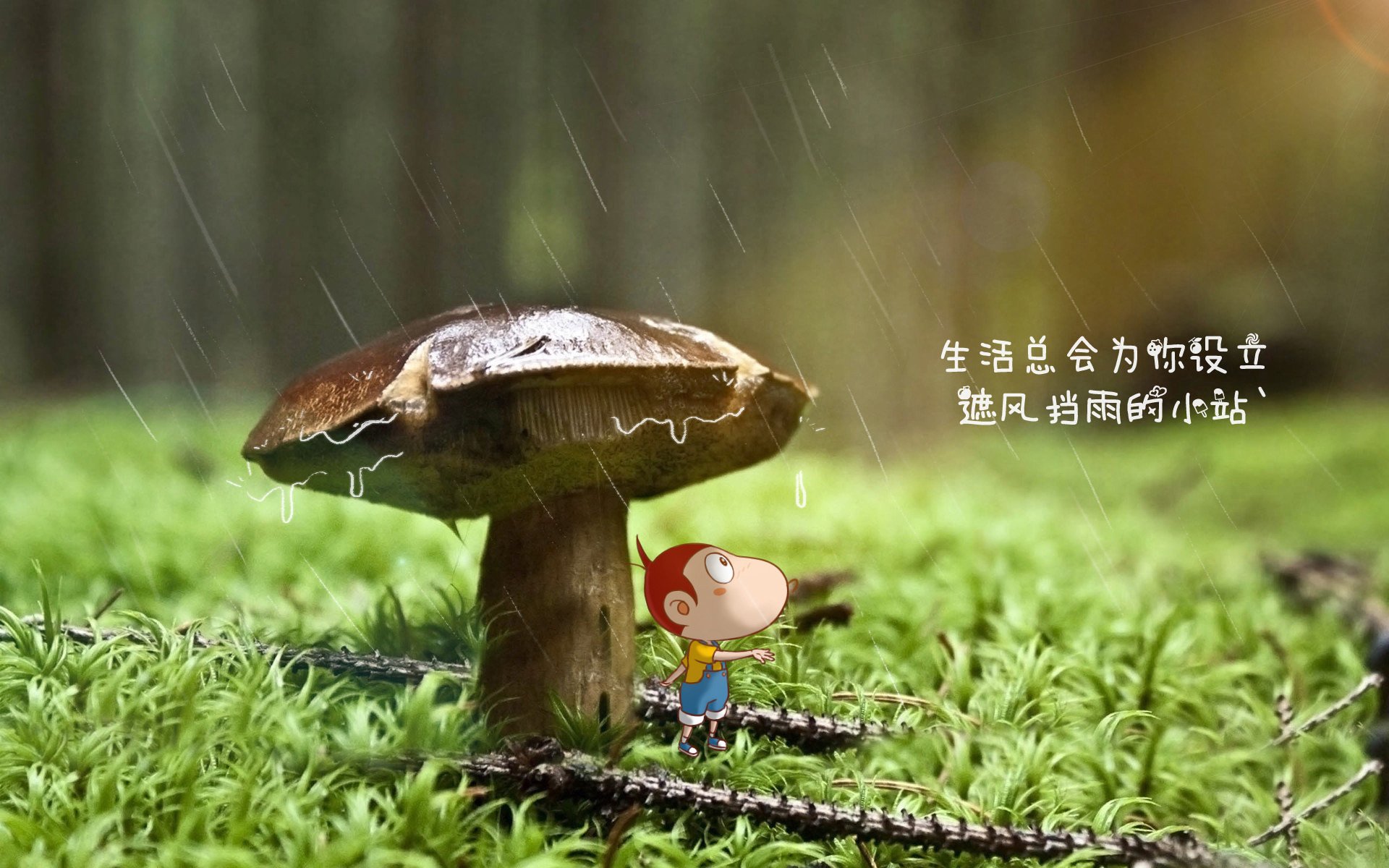 开云体育平台APP-血色童话，2026世界杯B组关键战，丹麦巨人碾碎樱花，费利克斯以铁血之名带队征服